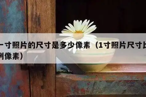 一寸照片的尺寸是多少像素(1寸照片尺寸比例像素)_ygl知识集