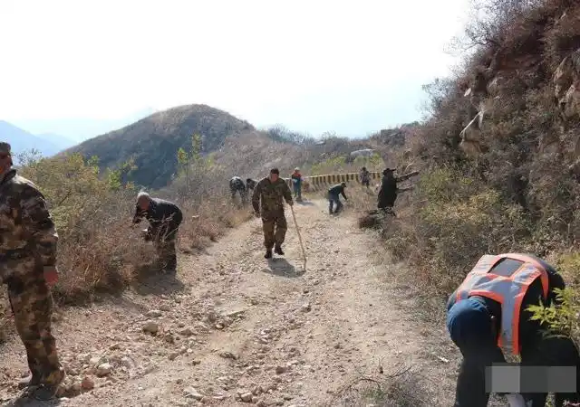 森林防火隔离带设置的法律依据是什么设置规范又有哪些呢
