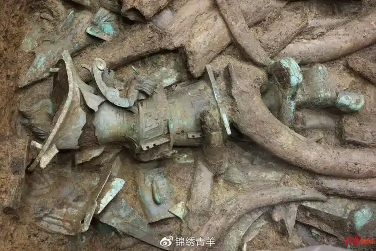 三星堆遗址出土的象牙