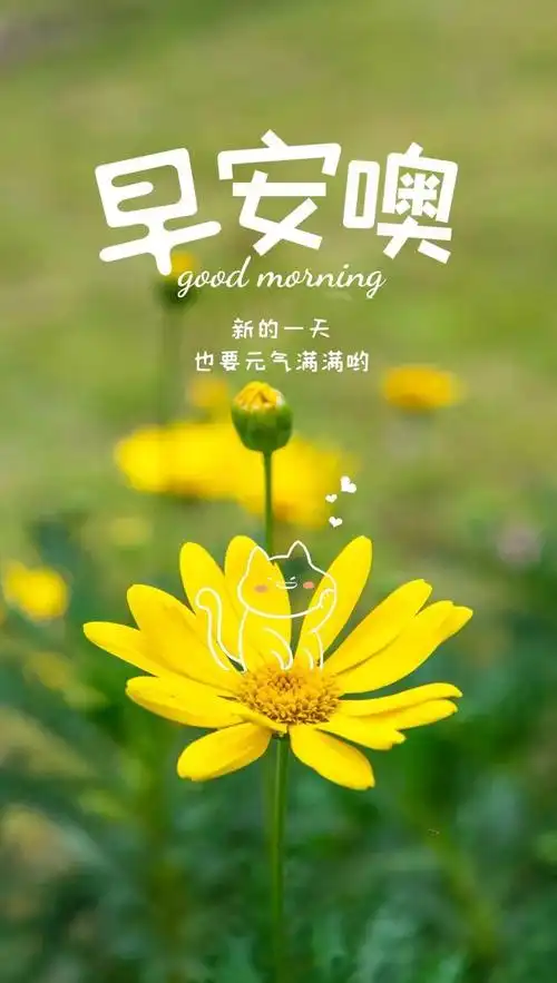 11月5日早安心语正能量加油语录句子正能量微信早上好图片说说