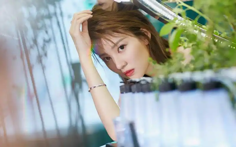 下周感情运势好有桃花运帮助能收获爱情果实的三大星座