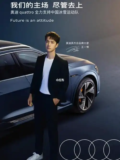 和奥迪英杰汇品牌大使王一博