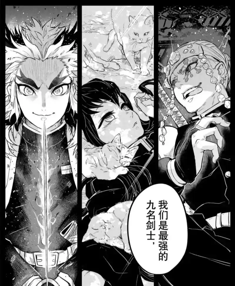 "我们是最强的九名剑士" #九柱 #鬼灭之刃 #蝴蝶忍 图源 - 抖音