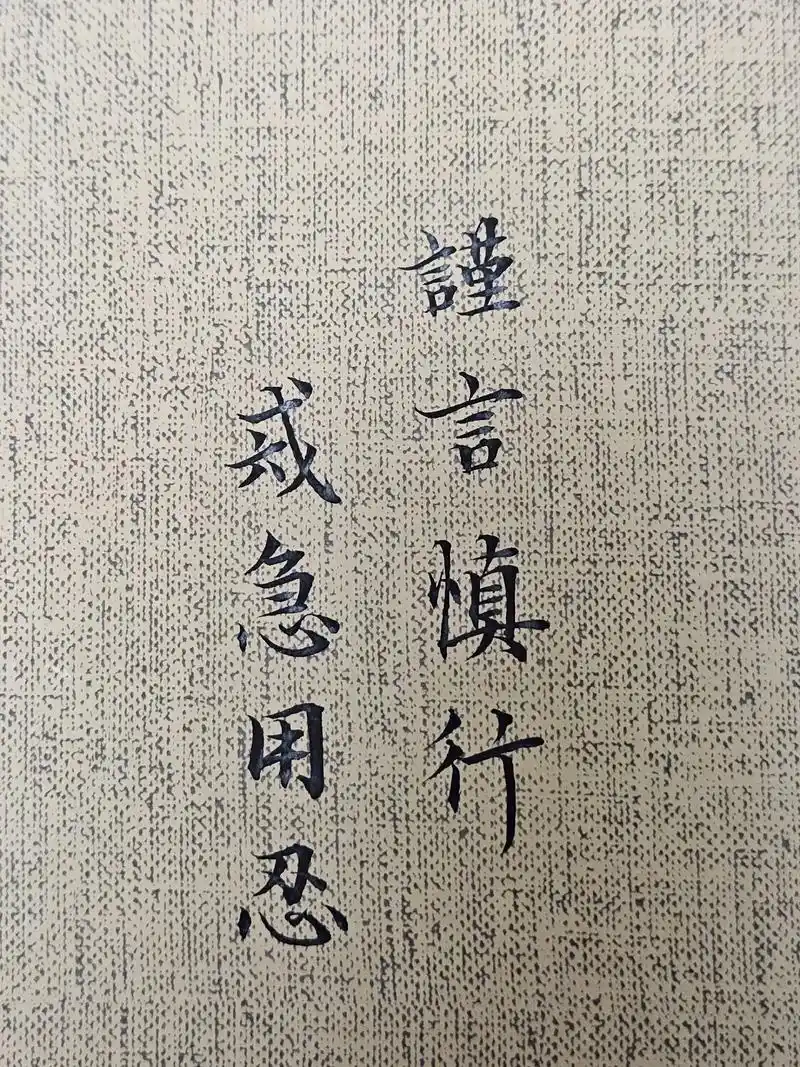 谨言慎行,戒急用忍 #抖音图文来了 #传统文化 #练字 #零 - 抖音