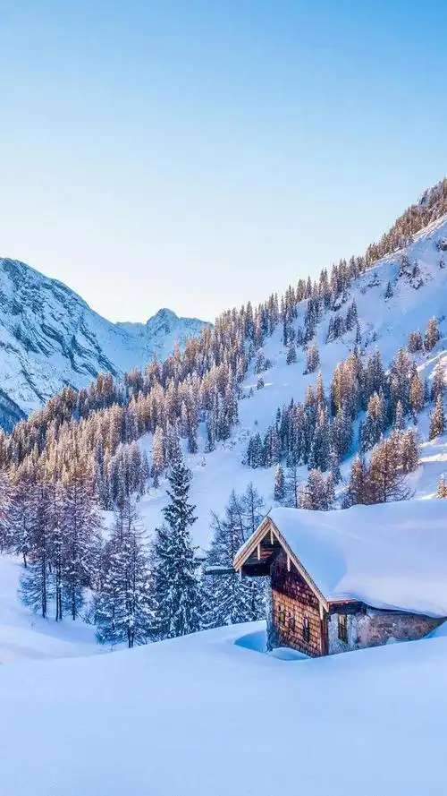 手机壁纸《第九十六期》高清无水印