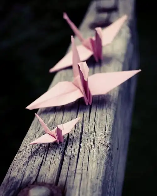 思念的千纸鹤