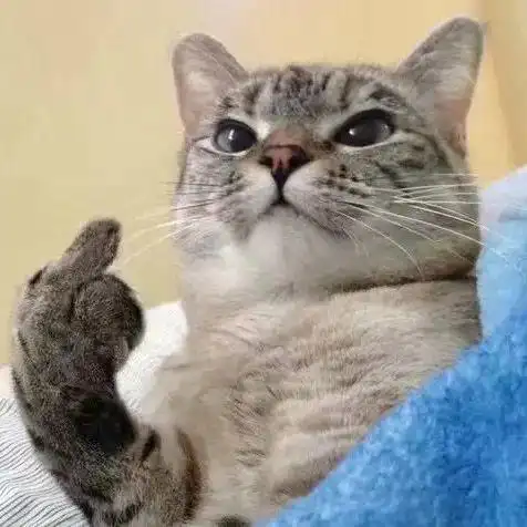 鄙视别人的表情包搞笑