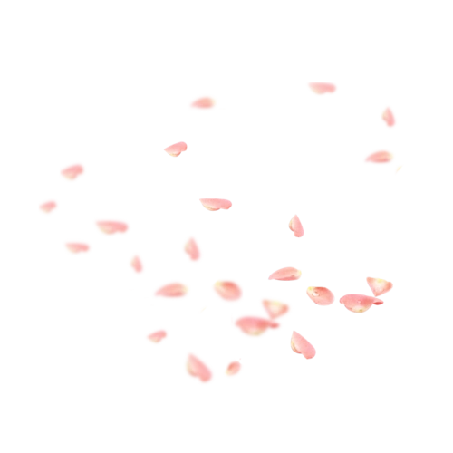 【转载】花瓣飘落免抠素材(五)