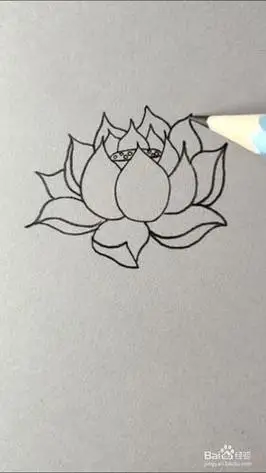 荷花的简笔画如何画