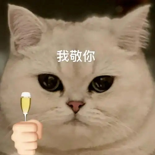 可爱搞笑表情包 i 我冤枉啊_熊猫头_灌夫_白日