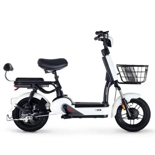 绿源新国标电动自行车女士48v锂电池电瓶车fbe成人踏板代步电动车雪山