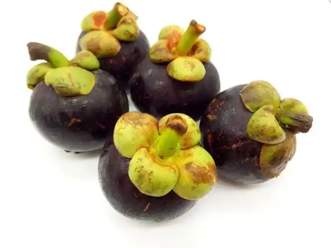 变褐色或者变黑,说明山竹存放时间长了,不新鲜了( 表示此山竹已太老