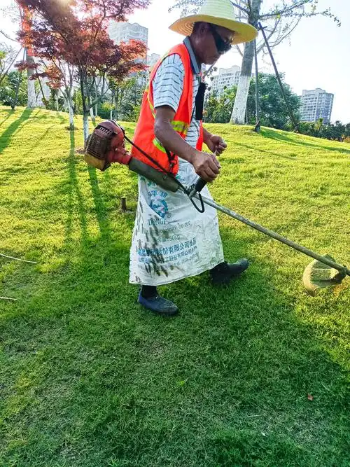 除草的园林工作者皮肤被晒的黝黑发亮