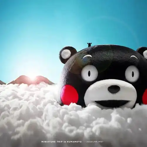 摄影  #微距摄影  #摄影万花筒  #熊本熊  #日