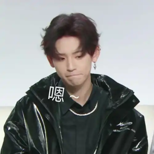 大厂表情包-王琳凯①