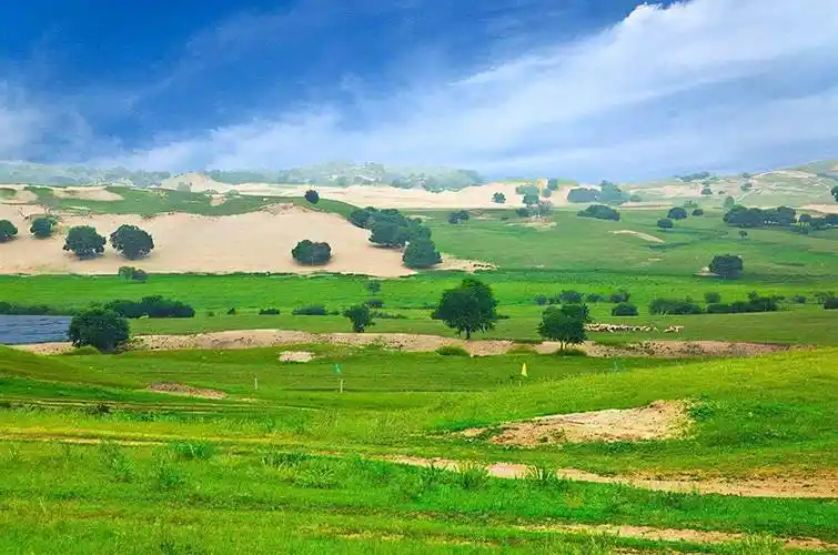 原创我国能否消灭塔克拉玛干让沙漠变草原如果真实现了是好是坏