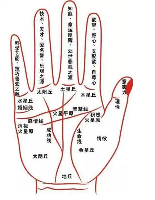 手相往往与个人的财运,运气,成功有一定关系,而对于财运而言则更需