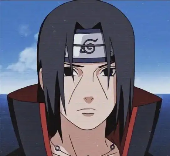 晓组织全员头像