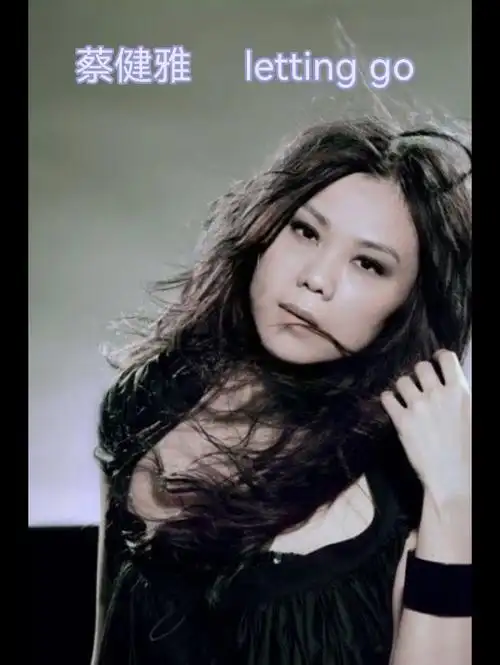 蔡健雅 letting go