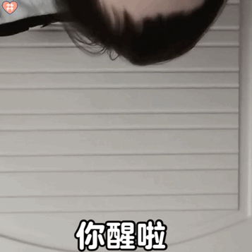 萌娃丸子妹表情包动图你醒啦哈哈 各个角度探出头来的小丸子