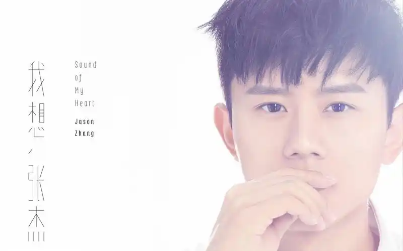 张杰每首歌都有其标配动作合在一起看略魔性hhhhhhhhhh