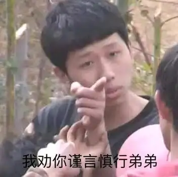 我劝你谨言慎行弟弟王境泽指人表情包指人王境谨言慎行弟弟表情