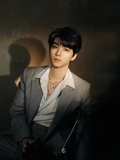 王俊凯 亮相周杰伦演唱会造型图