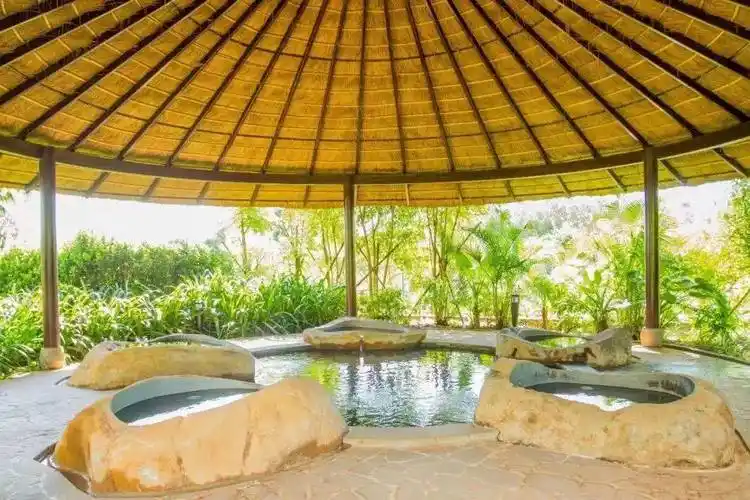 樟树湾大酒店上榜2022广东温泉企业30强!_雷州_文化_牛皮