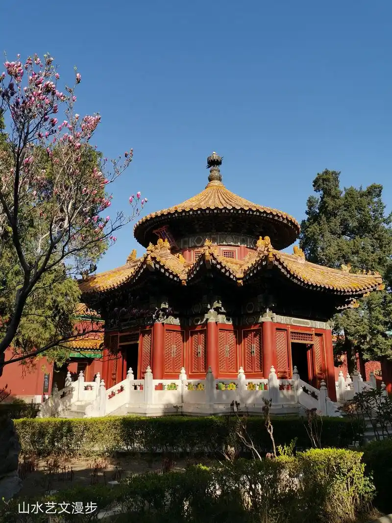 北京故宫御花园:春光正好