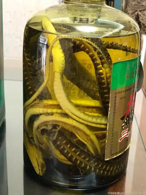 5斤广西龙山三蛇酒