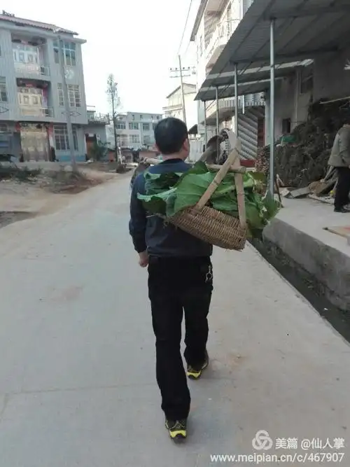 采菜归来,给乡里大叔来个背影特写