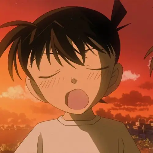 名侦探柯南情头