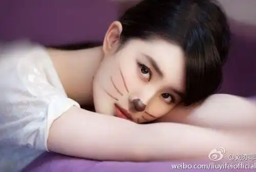 刘亦菲抱猫现身照走红 众女神被喵星人攻陷