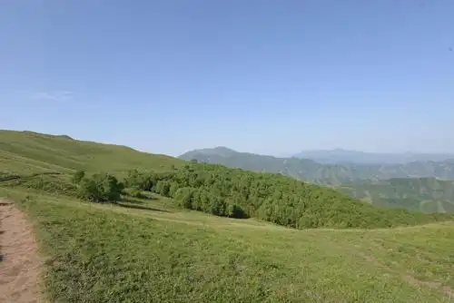 大草甸,秋天是最美的,等着我们再来.