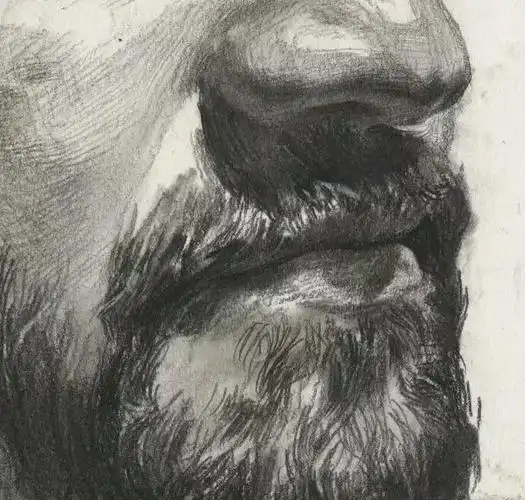 素描教学|教你画带胡子的外国男中年 - 艺考查查