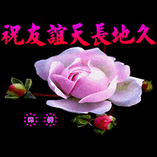 一波中老年表情包