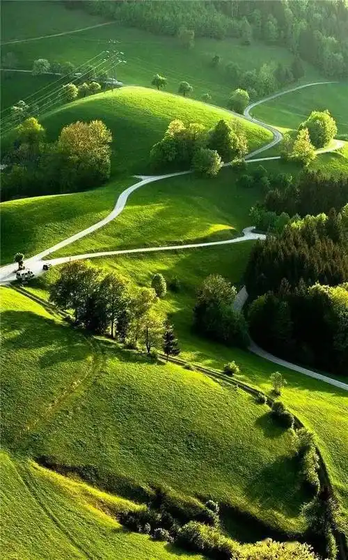 手机绿色背景壁纸图选