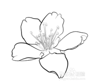 1.勾出画笔般的线使用钢笔工具,我们先画一条路径,注意路径的锚点要非