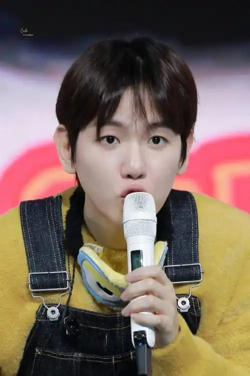 #边伯贤费加罗封面##边伯贤#