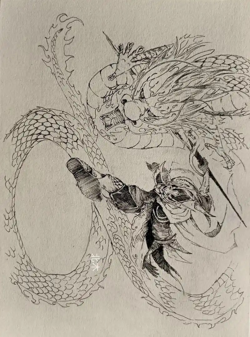 天翔之龙#手绘 #速写 #钢笔画 #王者荣耀赵云  - 抖音