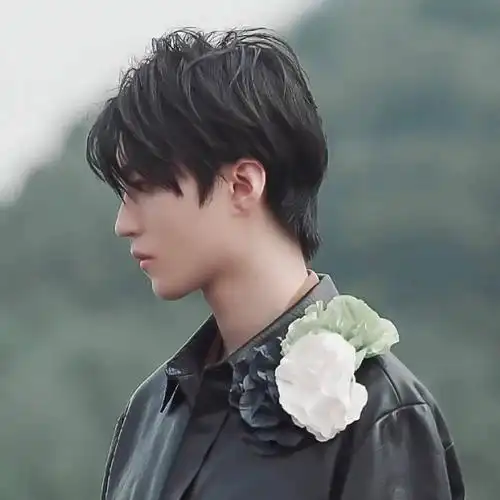 【微信头像】王俊凯