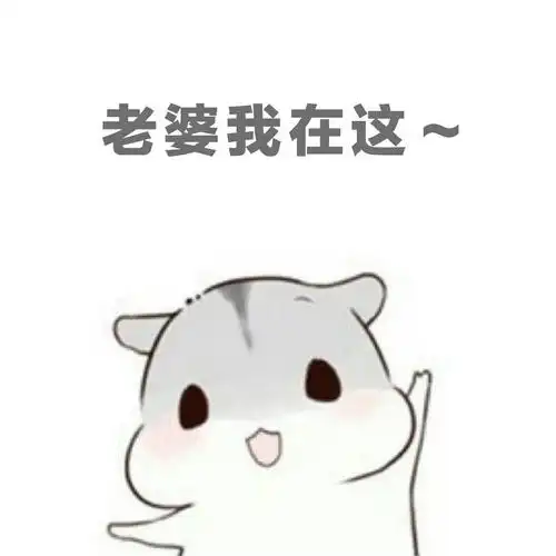 小仓鼠老公老婆秀恩爱表情包