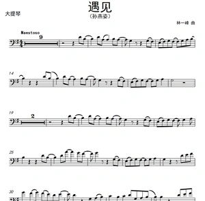 流行曲 《遇见》 孙燕姿 大提琴独奏谱 钢琴伴奏谱 伴奏音频