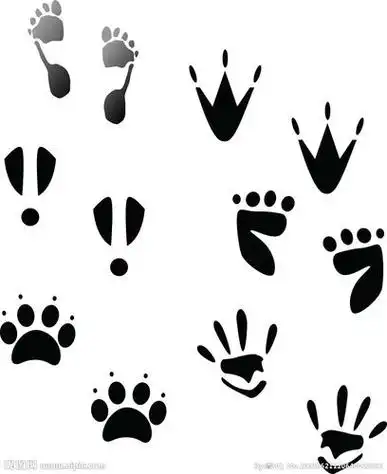 小鸡的脚印简笔画小鸡的脚印简笔画图片