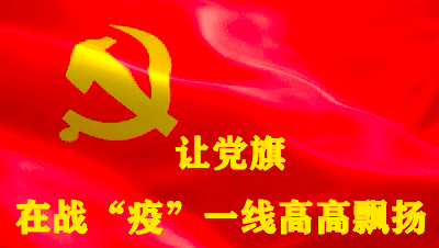 党旗飘扬九江公安党员民警用忠诚坚守在赣北抗疫一线