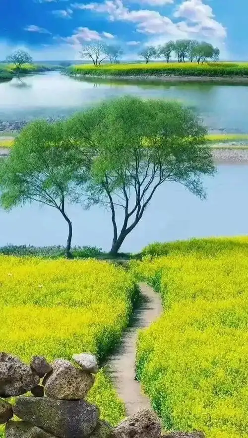 62幅大自然美景,如入仙境一般,令人心旷神怡