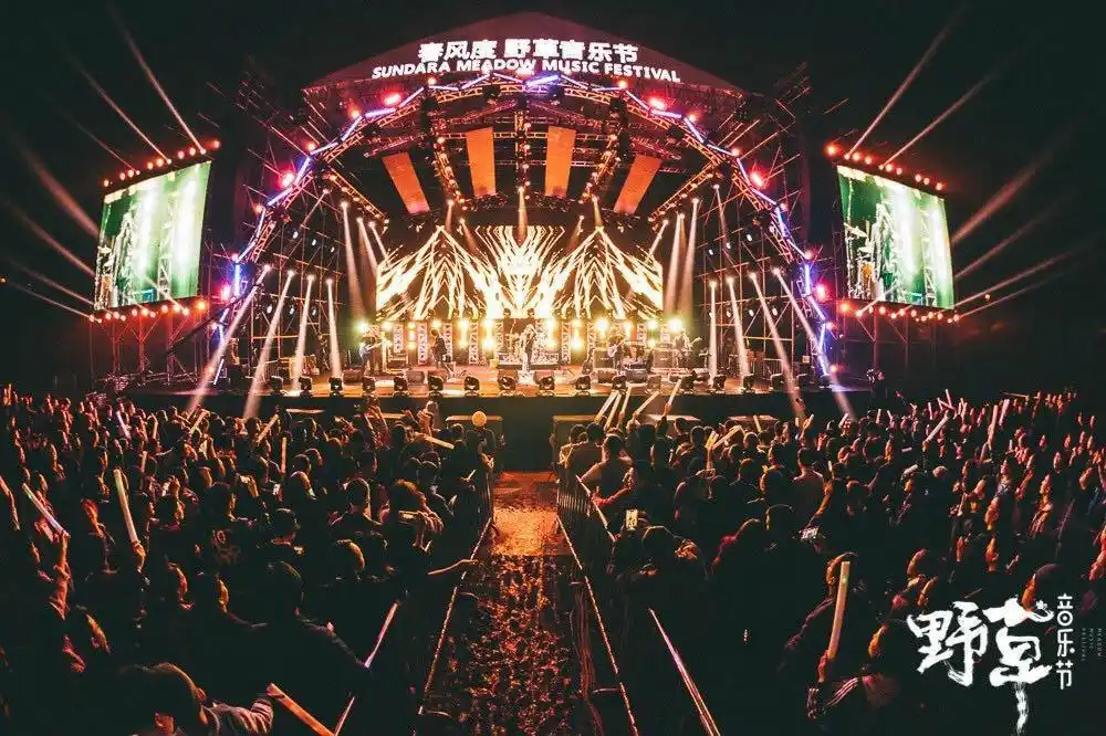 (野草音乐节现场)