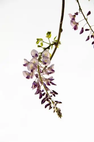 原图欣赏-太平洋摄影部落