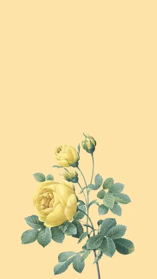 简单美 - 堆糖,美图壁纸兴趣社区