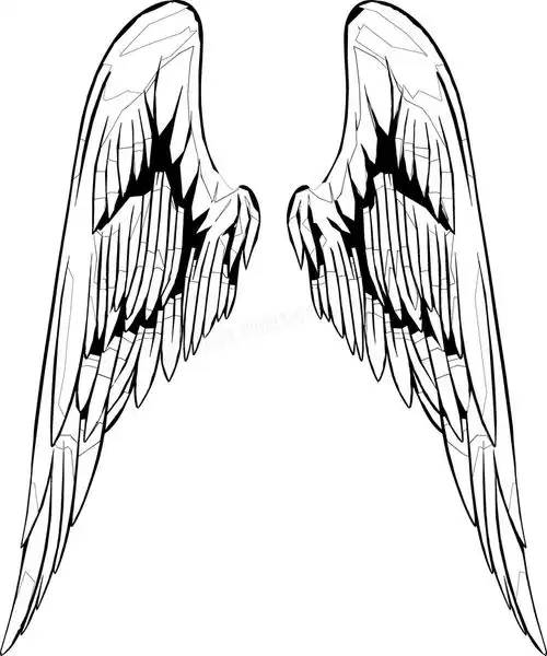 天使翅膀简笔画图片